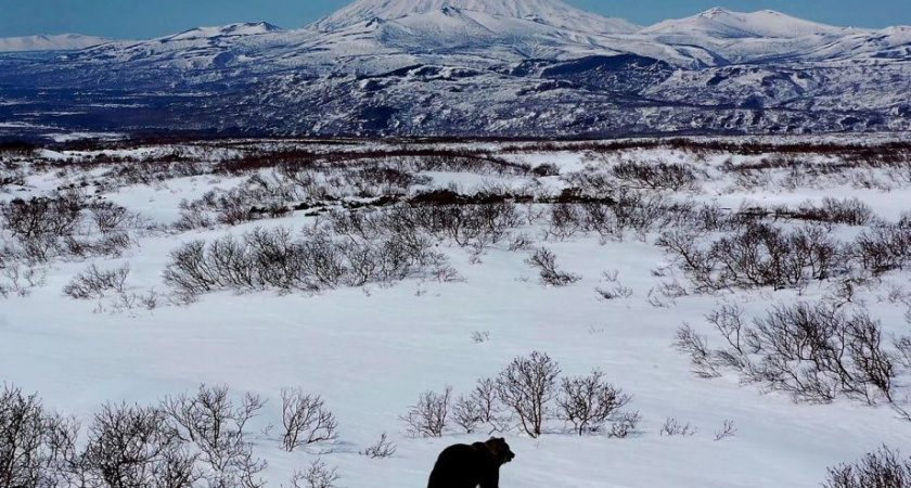 Туристу на Камчатке потребовалась срочная эвакуация из-за проблем со здоровьем