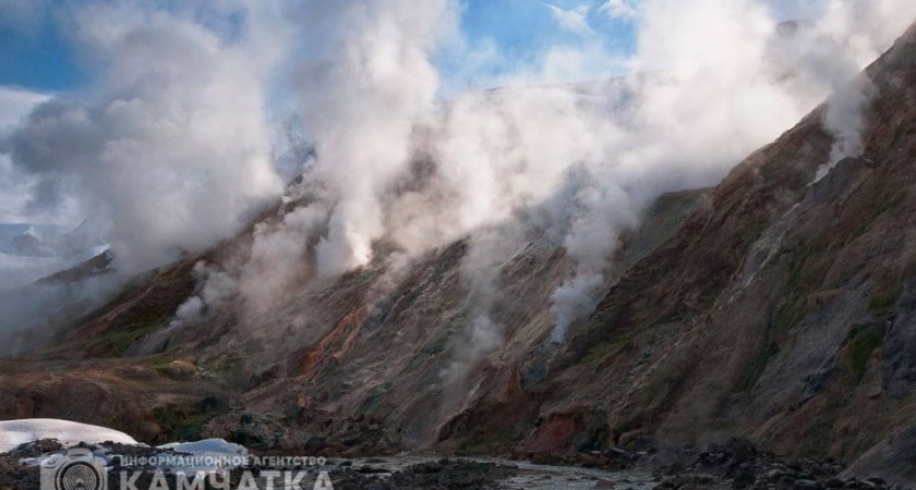 Любителей дикой камчатской природы приглашают на кинопоказы