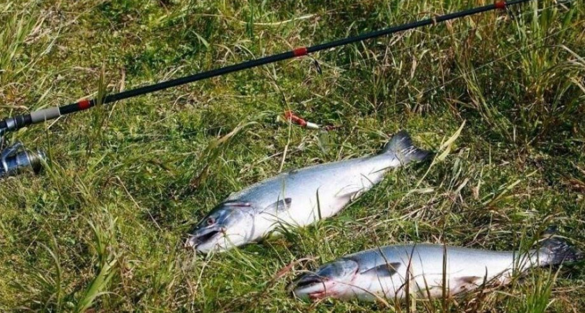 Жителям Усть-Хайрюзово и Коврана на Камчатке разрешили бесплатно ловить рыбу