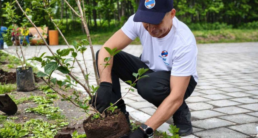 В столице Камчатки сирени от энергетиков украсили экопарк на Северо-Востоке 
