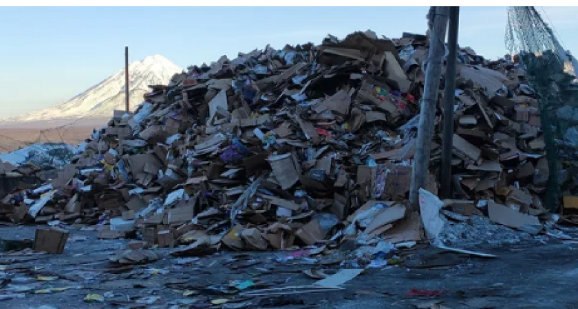 Камчатская компания «Феникс» заплатит 300 тысяч рублей за незаконную свалку