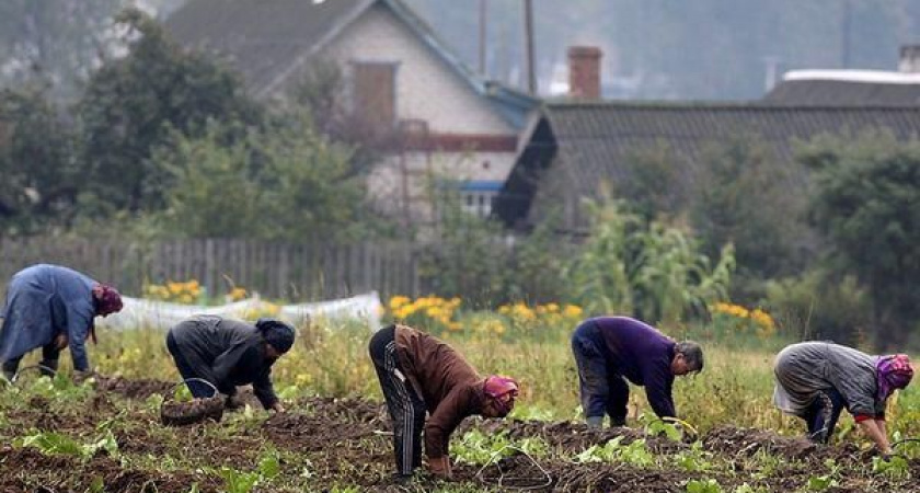 Камчатка выбирает лето: половина дальневосточников планируют отпуск в июле и августе