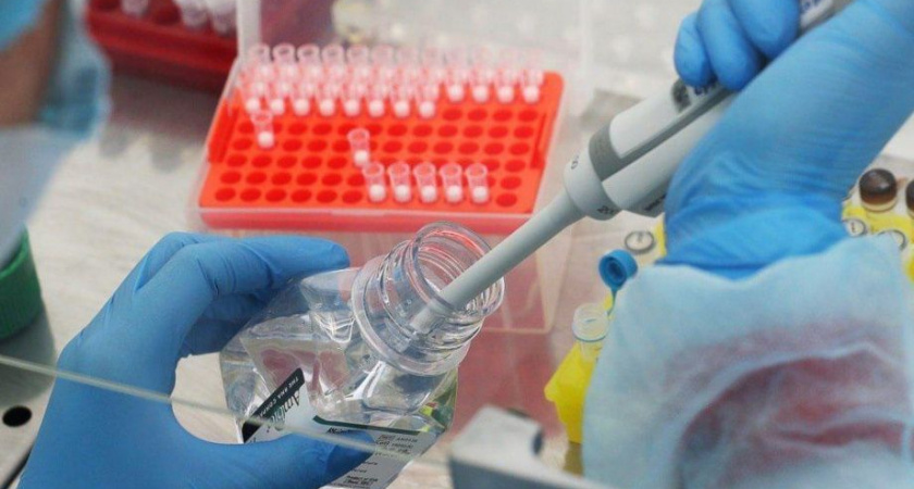 В камчатских консервах из печени и икры минтая нашли паразитов