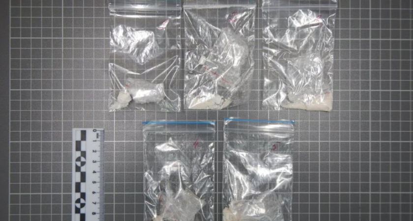 «Синтетический бизнес» сахалинца прервали камчатские оперативники