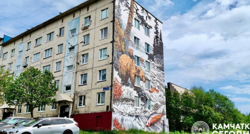 Первые четыре мурала появились в Петропавловске-Камчатском