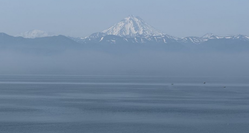 Систему оповещения о цунами успешно протестировали на Камчатке