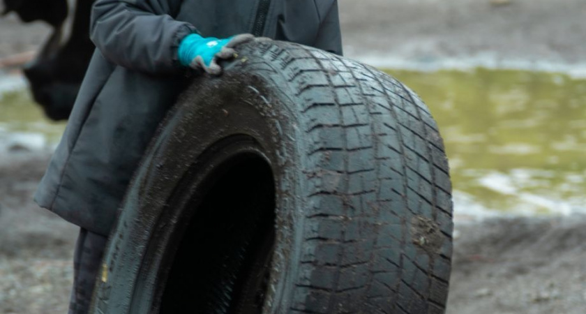 Из рощи в столице Камчатки волонтеры вынесли почти 700 кг мусора