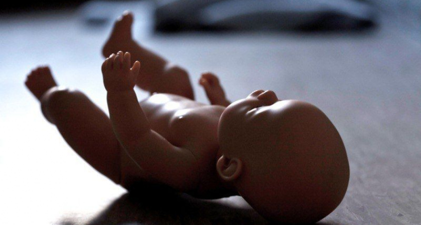 Мать-убийцу разыскивают на Камчатке 