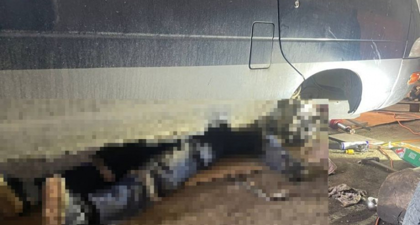 На Камчатке автомобиль насмерть придавил хозяина