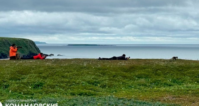 Туристы прибыли на Командорские острова впервые в этом сезоне