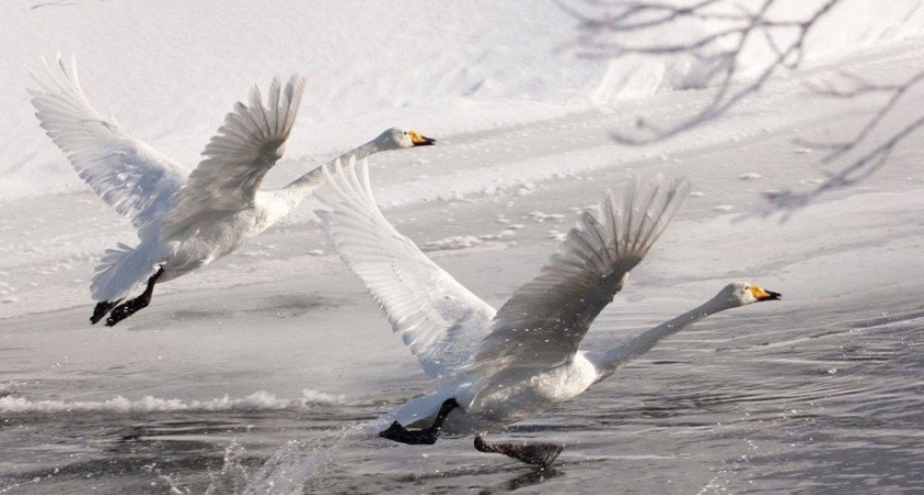 Камчатка - лидер по уровню брачности среди субъектов ДФО