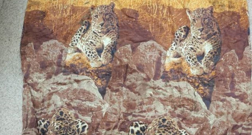 На Камчатке объявили вознаграждение в 1 миллион рублей за помощь в поиске матери-убийцы