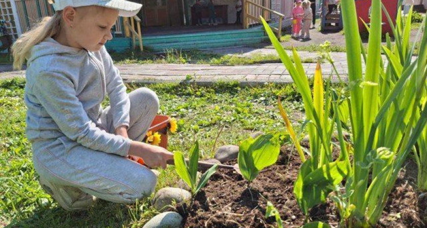 Юные садоводы-огородники Петропавловска-Камчатского учатся мастерству