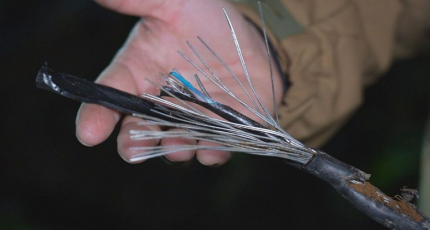 Камчатка избежала интернет-апокалипсиса благодаря резервной линии ВОЛС