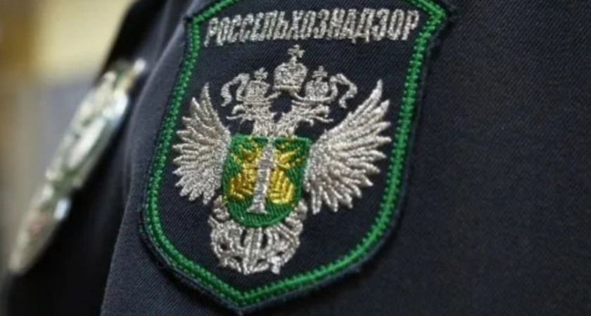 С Камчатки экспортировано 14 тысяч тонн рыбы и кормовой муки