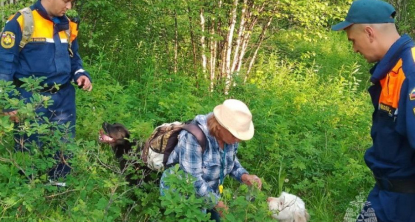Камчатские спасатели МЧС России нашли заблудившуюся семейную пару в лесу