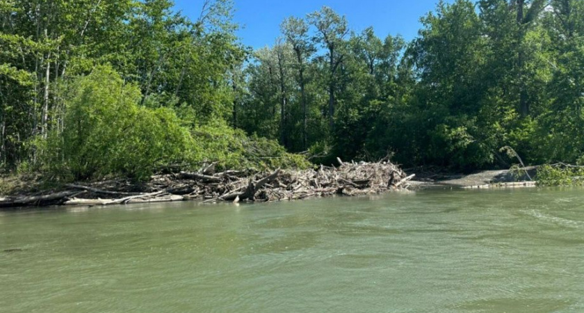 Старое русло реки Камчатка расчистят