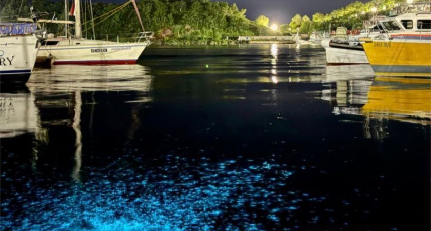 Воды Авачинского залива на Камчатке вспыхнули магией голубого огня