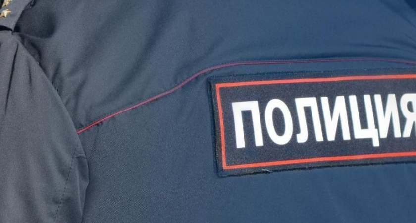 В Петропавловске-Камчатском  полиция поймала рыбного махинатора