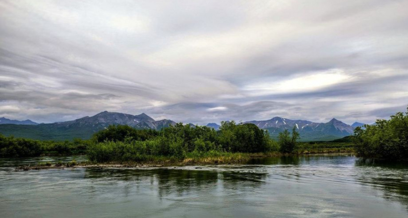 В озере Паланском идёт эволюция лососёвых