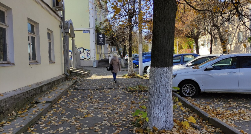 Народные рецепты побелки для деревьев: как добиться стойкости покрытия до летнего сезона