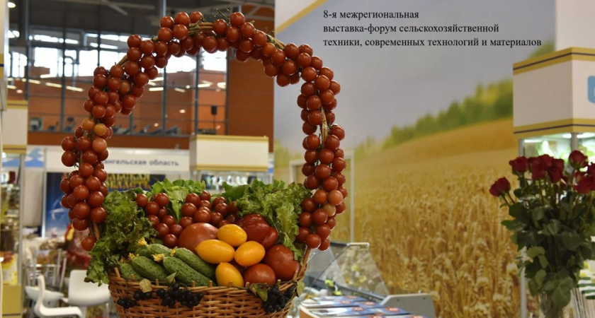 В Камчатском крае пройдёт межрегиональная выставка «Агротехнологии 2026»