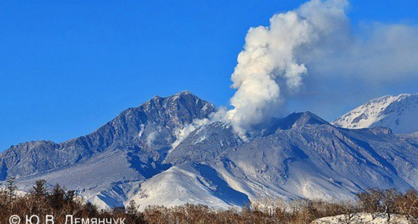 Вулкан Шивелуч выбросил пепел на шесть километров на Камчатке