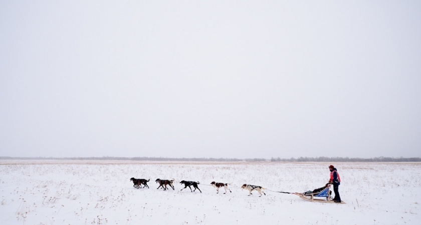Место старта гонки «Берингия.Авача» в Петропавловске перенесено в КВТЦ