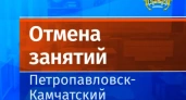 В Петропавловске из-за пурги отменили уроки для учеников младших классов