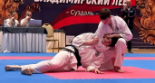 Сборная Камчатки завоевала призовые места в двух всероссийских соревнованиях по айкидо.