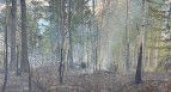 На Камчатке специалисты зарегистрировали еще два лесных пожара