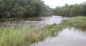 На Камчатке обильные осадки могут спровоцировать подтопления территорий в трех районах