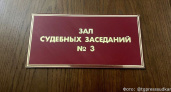 Суд: недоверие Думы Елизовского района к районному главе – незаконно
