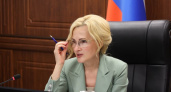 Ирина Яровая обратилась в Правительство России с новым предложением