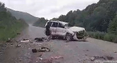 Стало известно, что случилось с водителем машины, найденной на камчатской трассе
