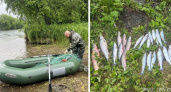 В Елизовском районе после встречи с инспекторами рыбак лишился лодки и улова