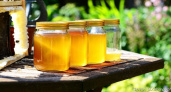 Мед в магазинах: почти все фальсификаты, предупреждает Роскачество