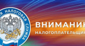 Началась осенняя кампания по уплате имущественных налогов — УФНС Камчатки