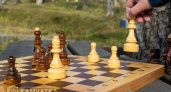 Подвели итоги чемпионата Петропавловска-Камчатского по быстрым шахматам