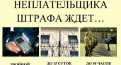 270 камчатских автомобилистов могут «загреметь» на 15 суток за неуплату штрафов