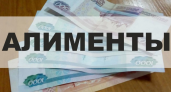 Житель Камчатки скрыл доходы «на стороне» и выплатил 14 миллионов рублей алиментов