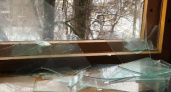 В столице Камчатки пойман подросток, разбивший из пневматики окна пенсионерки 