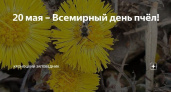 20 мая отмечаем Всемирный день пчёл! 