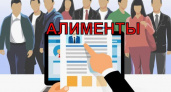 На Камчатке заработал реестр алиментных должников