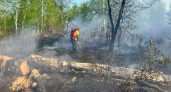 Камчатские пожарные в Мильковском районе победили огонь на площади более 5 Га