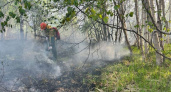 В Карагинском районе Камчатки тушат масштабный лесной пожар