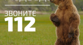 Медведь наследил в Вилючинске