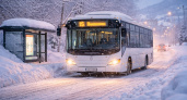 Автобусы в Петропавловске-Камчатском планируют вернуть на маршруты