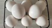 Яйцо птицефабрики «Пионерское» в «Агротеке» можно купить по социальной цене