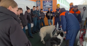 Камчатские спасатели и собаки показали школьникам свою работу